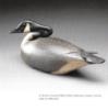 A. Elmer Crowell, Nesting Canada Goose