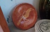 Small Bird Decorated Redware Plate