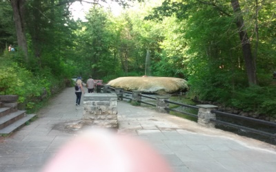 Walkway to the Island Spring